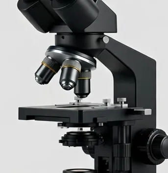 Detail view of the MicroHub LabBino 40x–2000x Binocular Compound Microscope